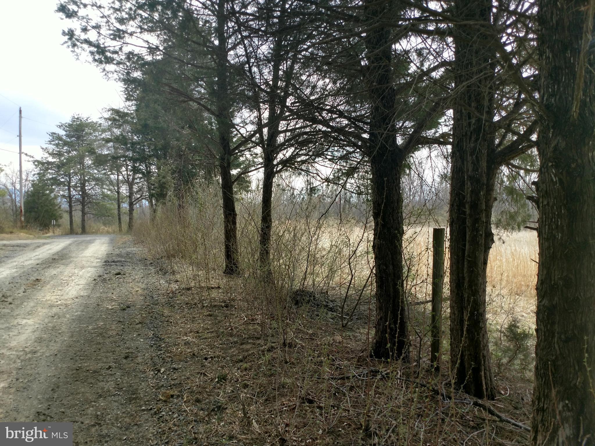 Lot 5 Martin Road Front Royal, VA 22630 - Photo 5 of 6