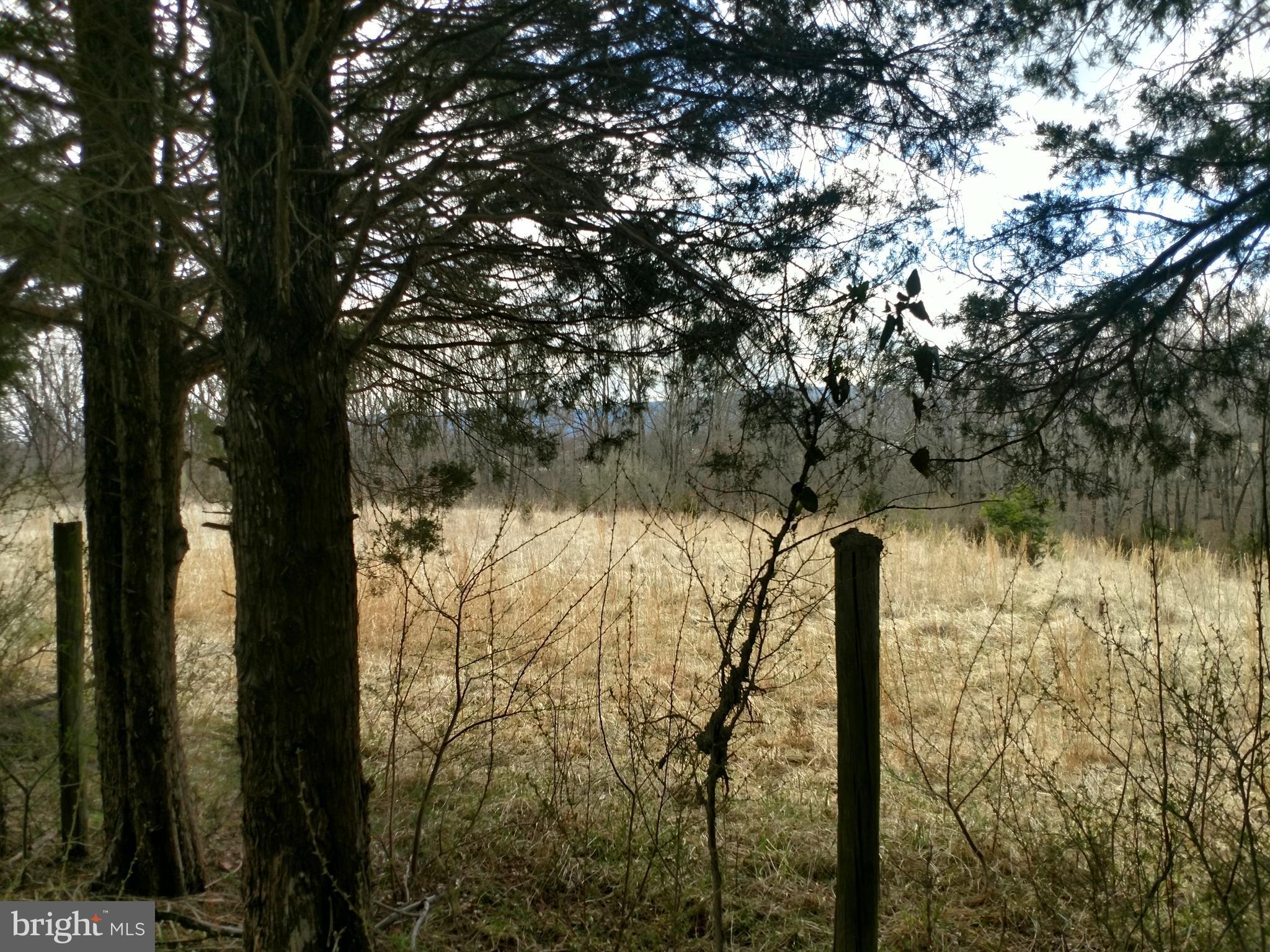 Lot 5 Martin Road Front Royal, VA 22630 - Photo 6 of 6