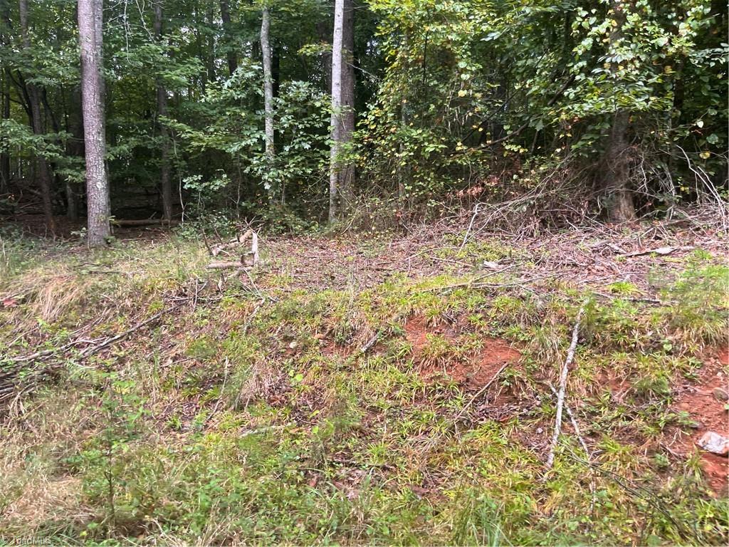 1170 Timber Ridge Road Westfield, NC 27053 - Photo 9 of 20 Gallery Image 9