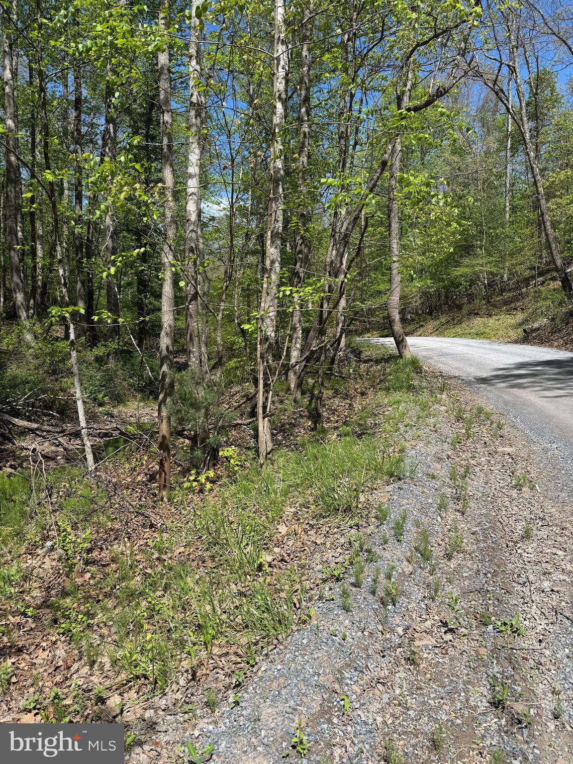 0 Shockeysville Road Winchester, VA 22603 - Photo 3 of 17