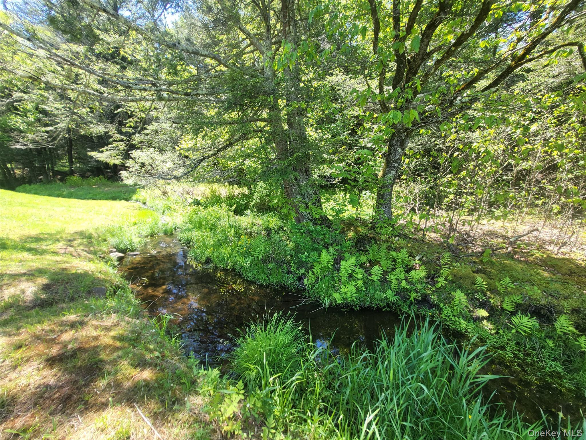 308 William Brown Road Fremont, NY 12741 - Photo 30 of 33 a view of a yard with a tree