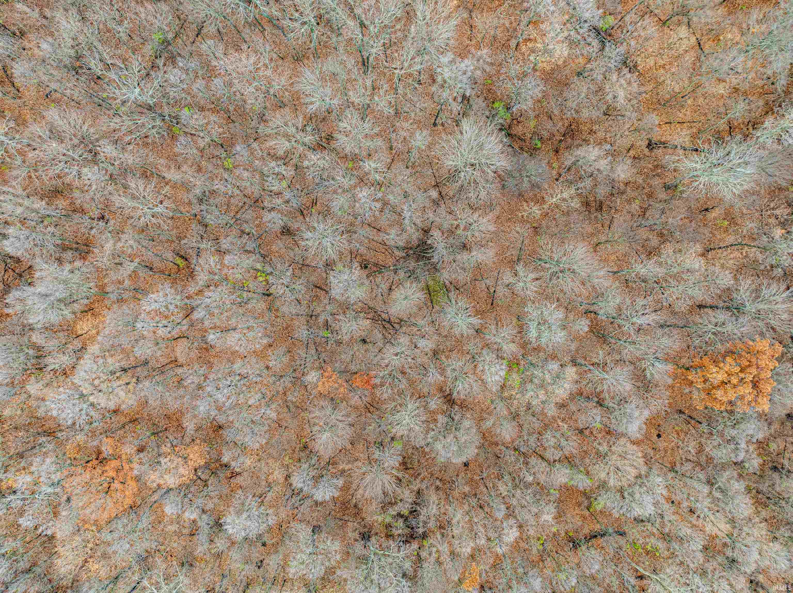 Tbd Tbd Hamilton Yoder, IN 46798 - Photo 6 of 6