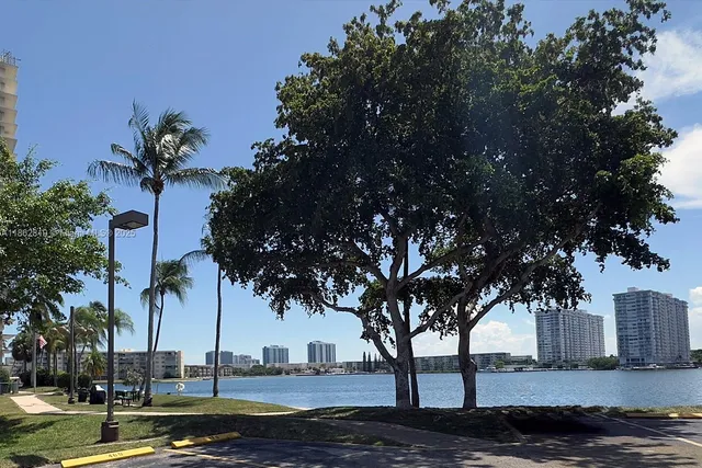 a view of a yard with a tree