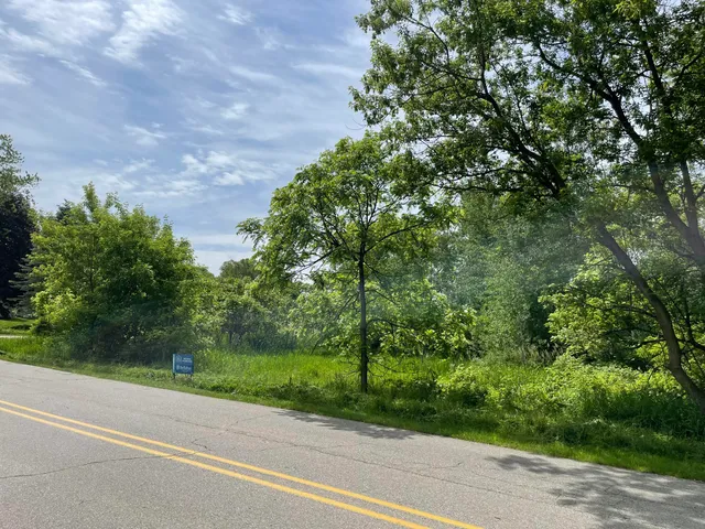 $60,000 | Vl Vl Ray And Elm Street, New Era, MI 49446