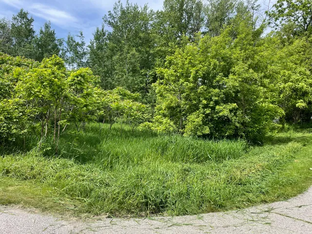 $60,000 | Vl Vl Ray And Elm Street, New Era, MI 49446