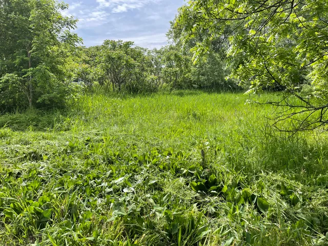 $60,000 | Vl Vl Ray And Elm Street, New Era, MI 49446