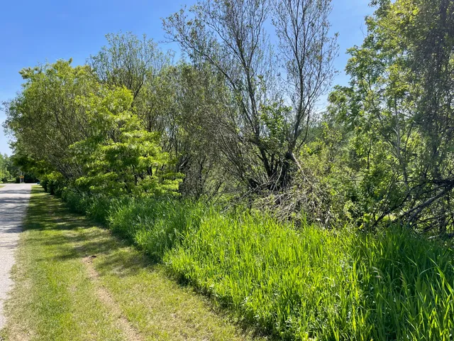 $60,000 | Vl Vl Ray And Elm Street, New Era, MI 49446