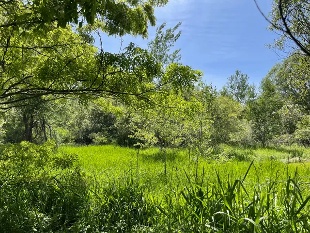 $60,000 | Vl Vl Ray And Elm Street, New Era, MI 49446