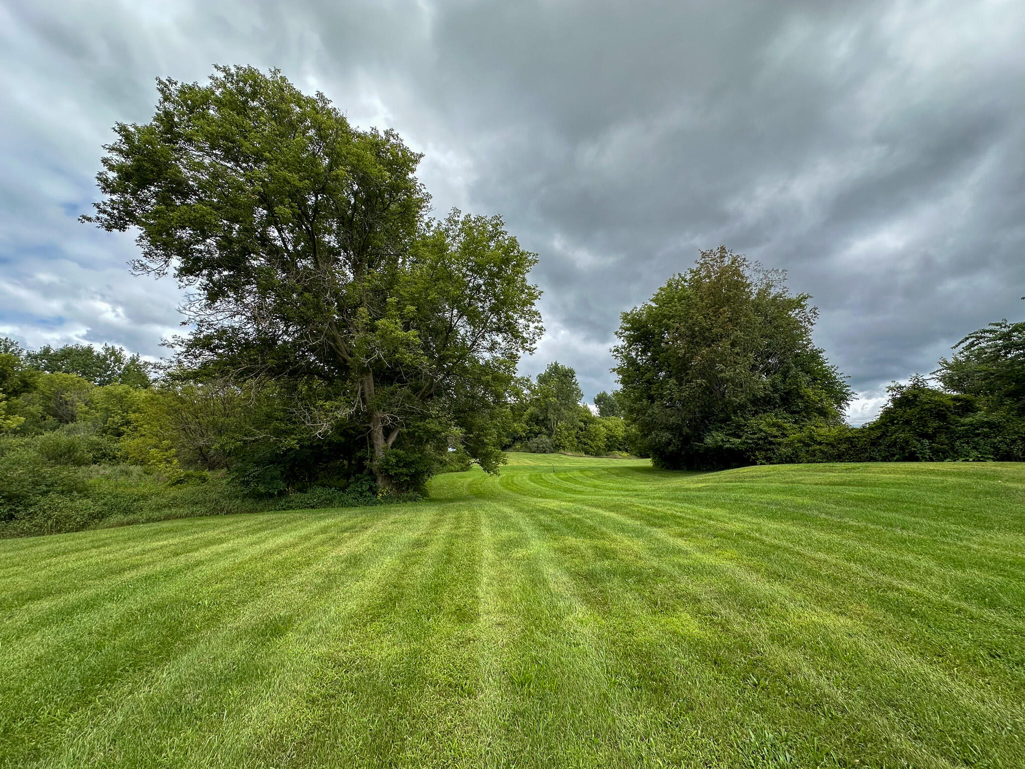4181 East Mt Morris Road Mount Morris, MI 48458 - Photo 25 of 33 Lawn - West