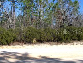 0 County Road Hawthorne, FL 32640 - Photo 1 of 1