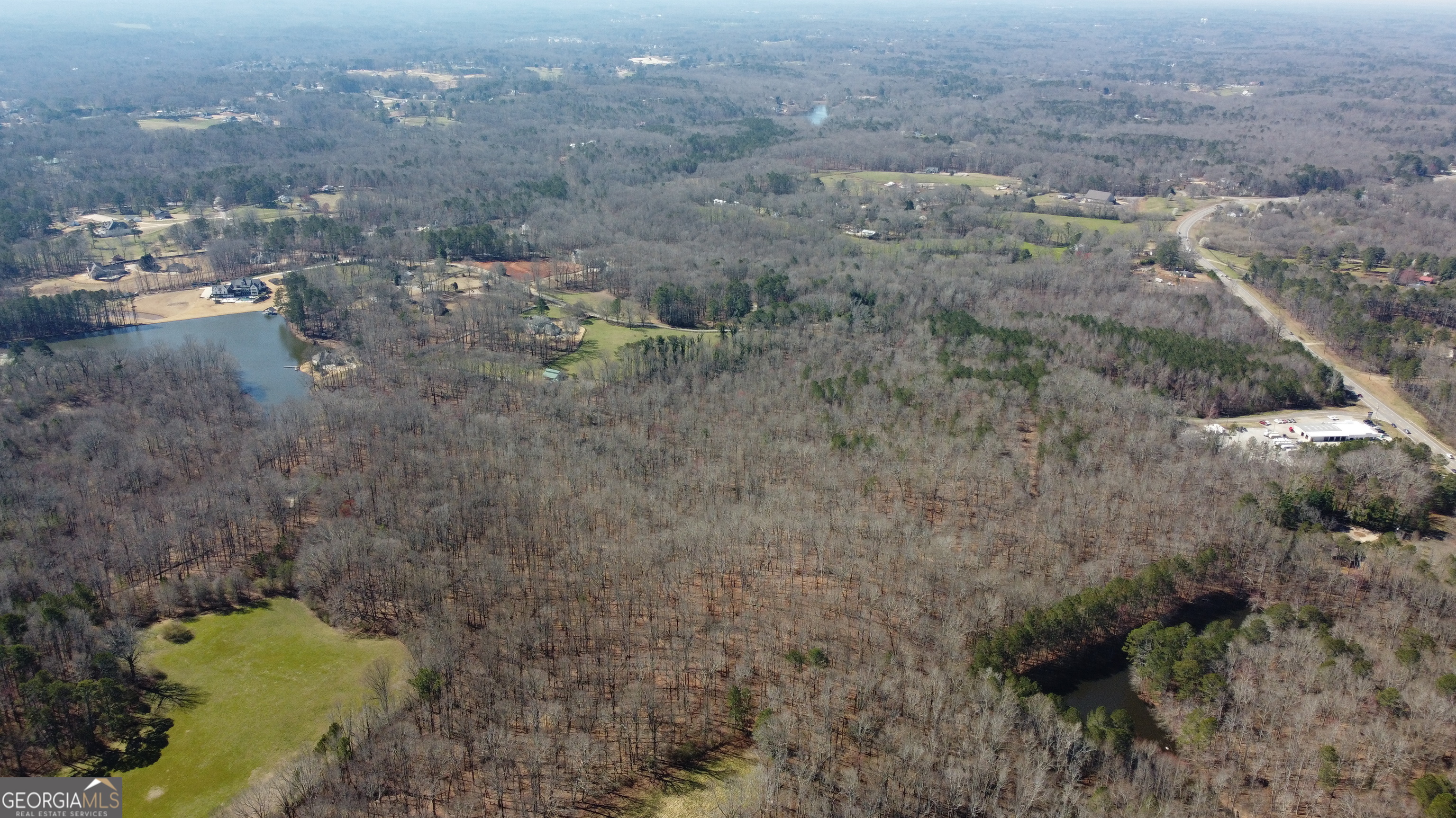 0 Beavers Road Canton, GA 30115 - Photo 11 of 26