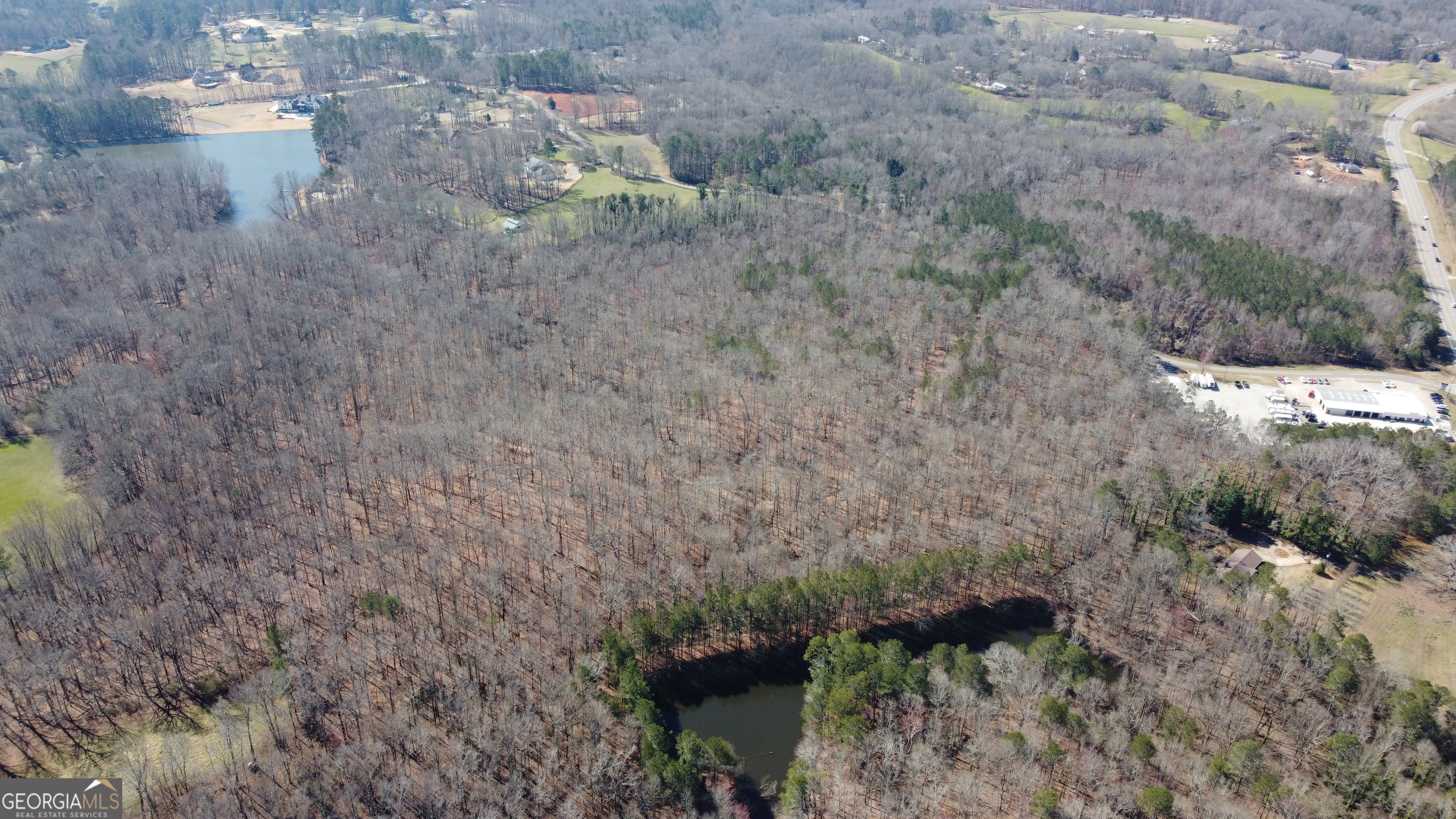 0 Beavers Road Canton, GA 30115 - Photo 12 of 26