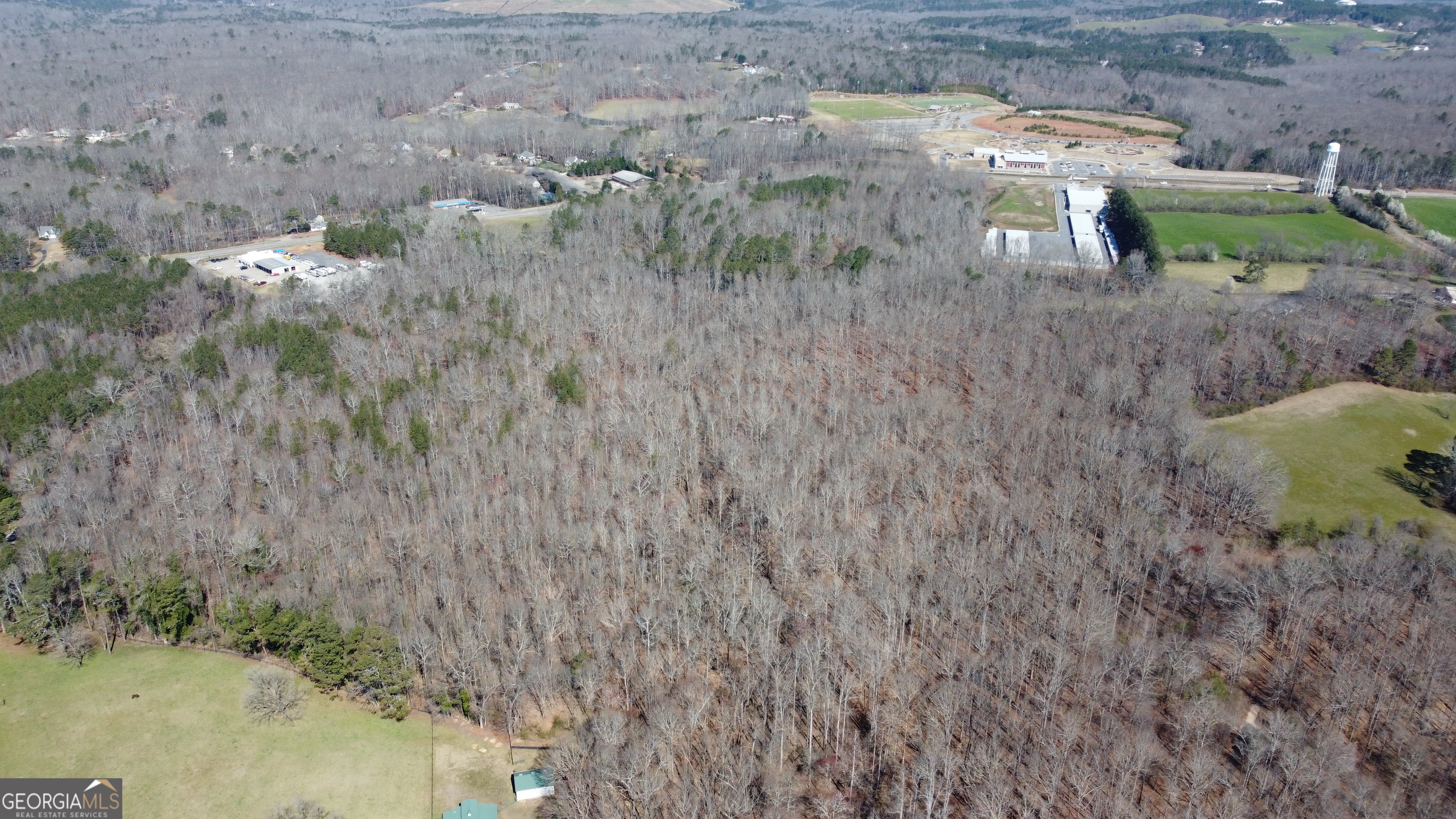 0 Beavers Road Canton, GA 30115 - Photo 2 of 26