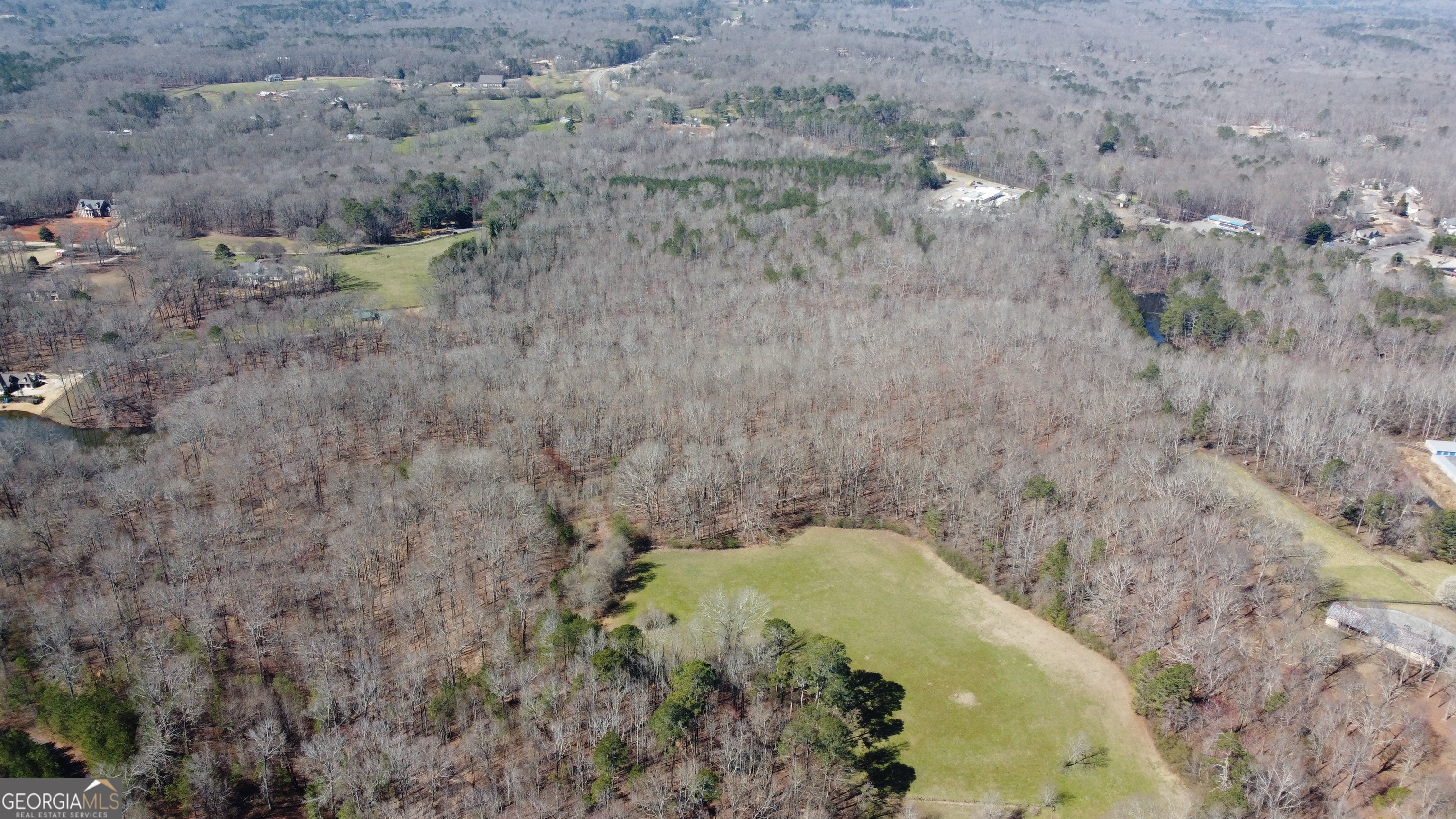 0 Beavers Road Canton, GA 30115 - Photo 4 of 26