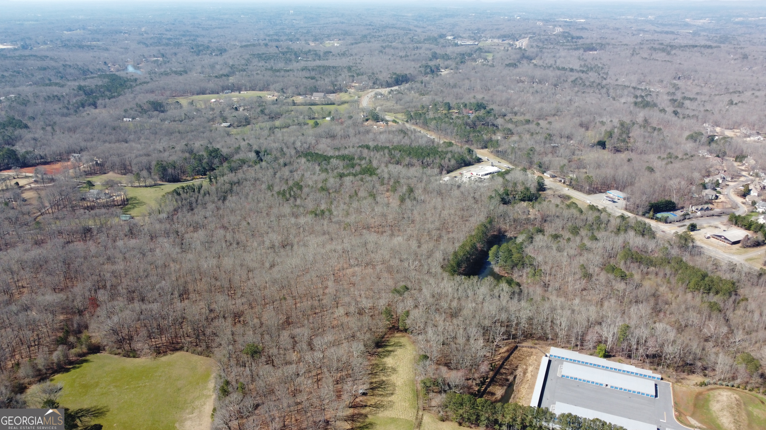 0 Beavers Road Canton, GA 30115 - Photo 8 of 26