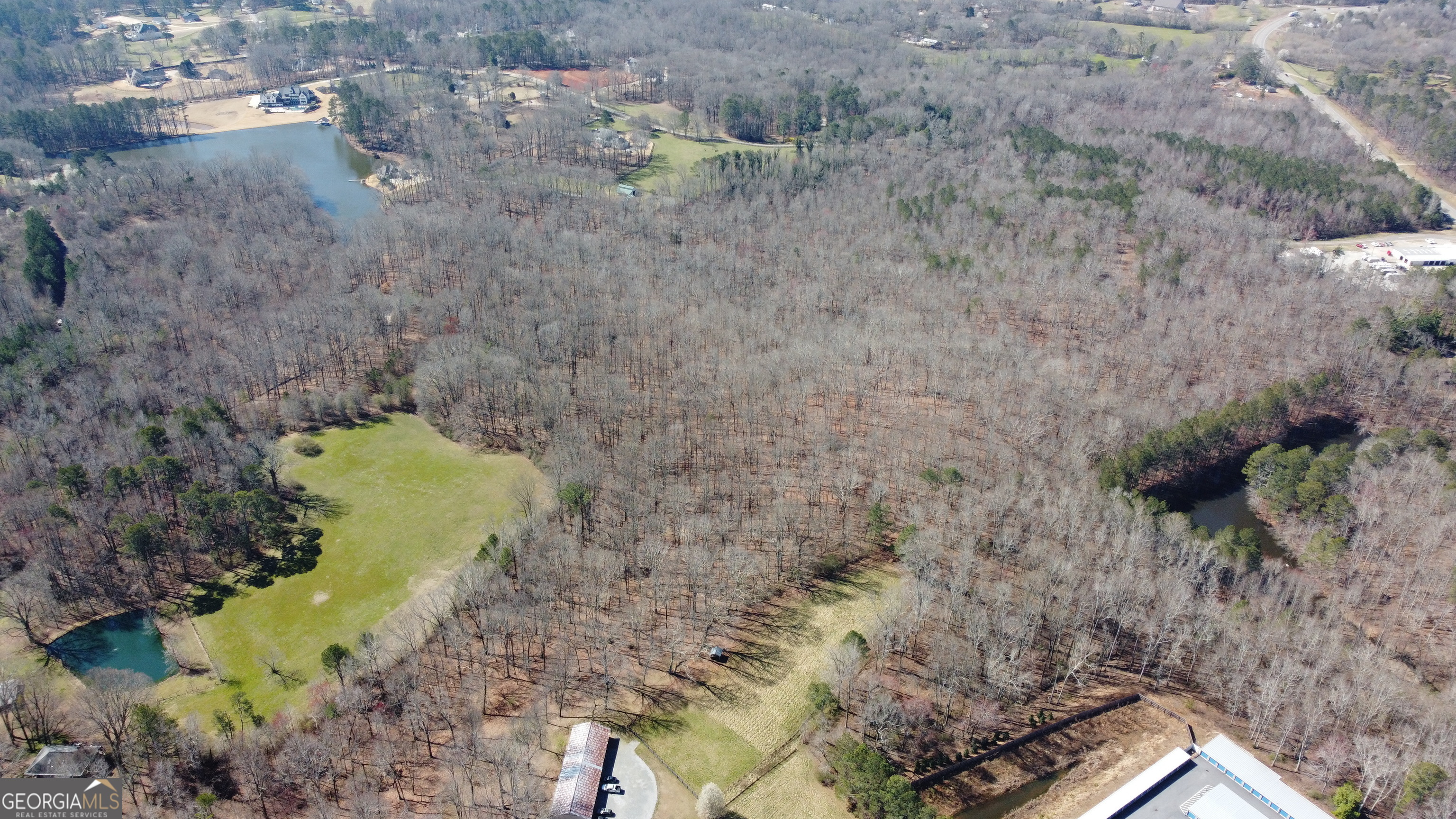0 Beavers Road Canton, GA 30115 - Photo 10 of 26