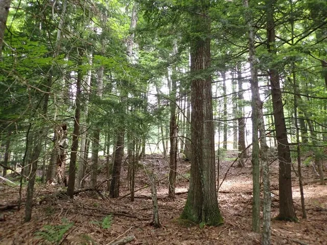 $260,000 | 68 Norris Road, Orford, NH 03777