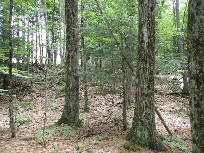 68 Norris Road Orford, NH 03777 - Photo 19 of 46