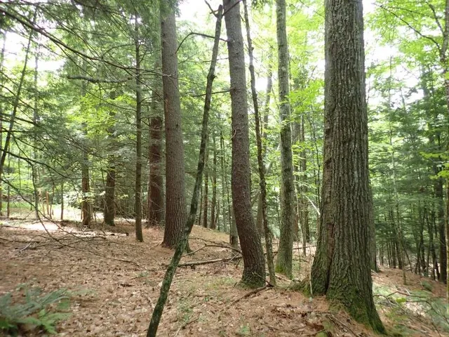 $260,000 | 68 Norris Road, Orford, NH 03777