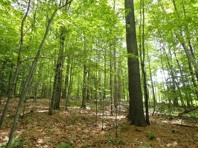 $260,000 | 68 Norris Road, Orford, NH 03777