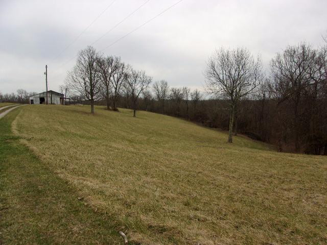 2591 Augusta Chatham Road Augusta, KY 41002 - Photo 19 of 30 Gallery Image 19