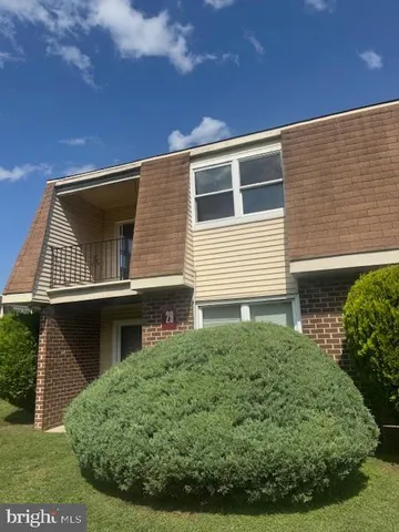 a view of backyard with small cabin