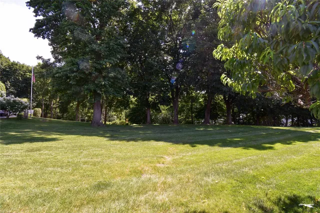 a view of a yard with swimming pool