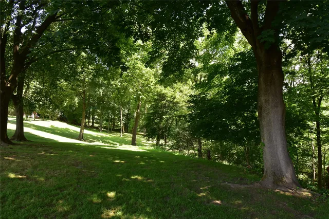 a view of grassy field with benches