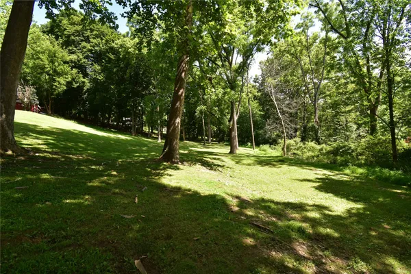a yard with trees