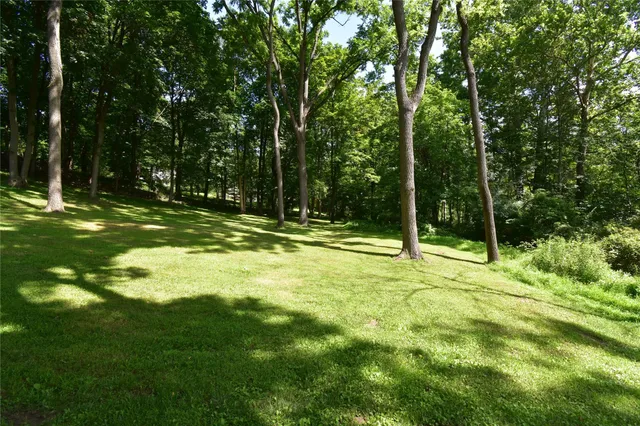 a view of outdoor space and yard