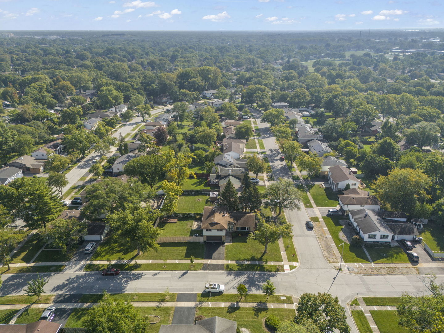 18749 Loomis Avenue Homewood, IL 60430 - Photo 33 of 41 an aerial view of residential houses with outdoor space and trees