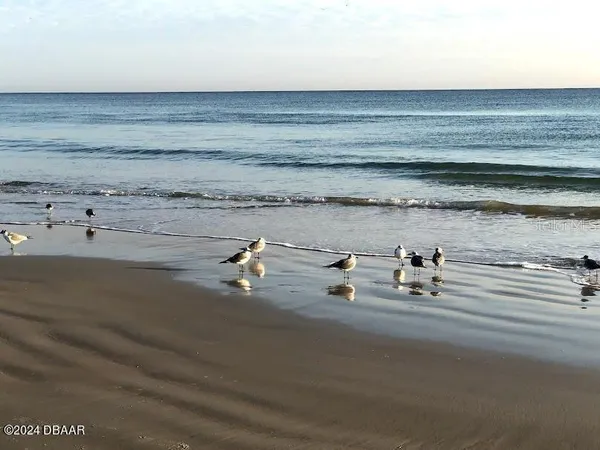 $429,000 | 2828 North Atlantic Avenue, Unit 604, Daytona Beach, FL 32118