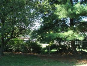 217 Tiffany Road Bristol, TN 37620 - Photo 5 of 9 Photo 5