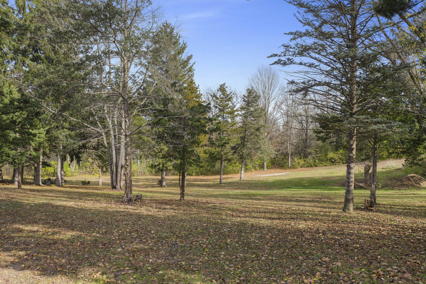 10182 Hamborg Road Roscoe, IL 61073 - Photo 12 of 23 a view of a yard with a tree