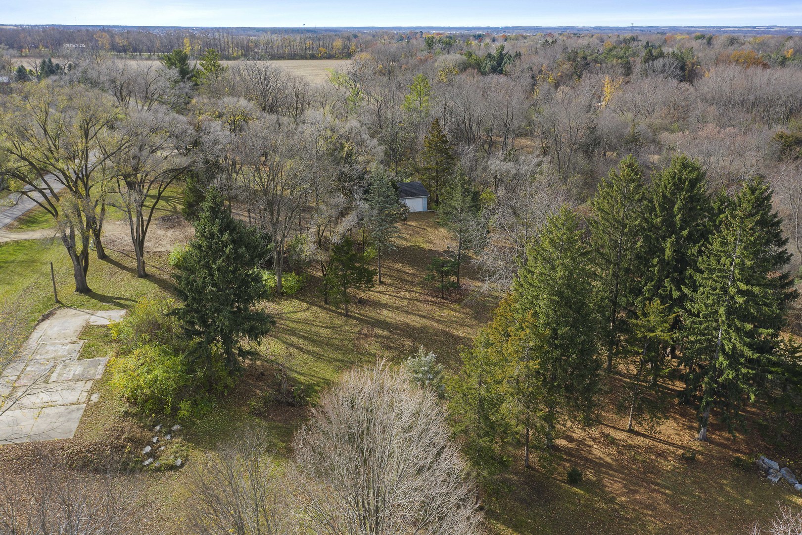 10182 Hamborg Road Roscoe, IL 61073 - Photo 13 of 23 a view of a forest with trees in the background