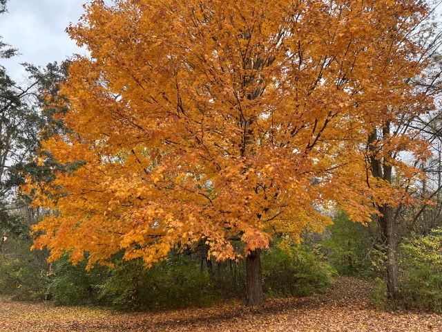 10182 Hamborg Road Roscoe, IL 61073 - Photo 15 of 23