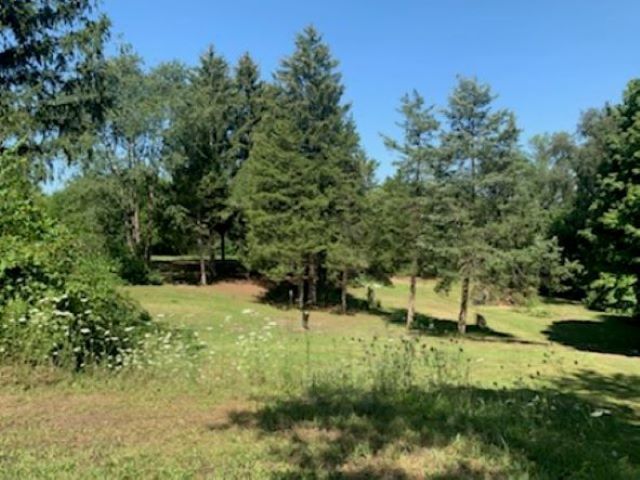10182 Hamborg Road Roscoe, IL 61073 - Photo 17 of 23 a view of a park with large trees