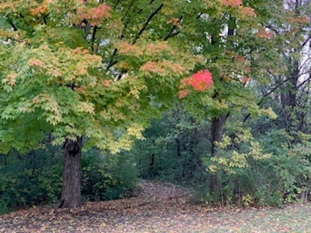 10182 Hamborg Road Roscoe, IL 61073 - Photo 18 of 23