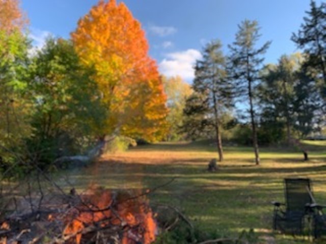 10182 Hamborg Road Roscoe, IL 61073 - Photo 21 of 23 a view of a yard with a house
