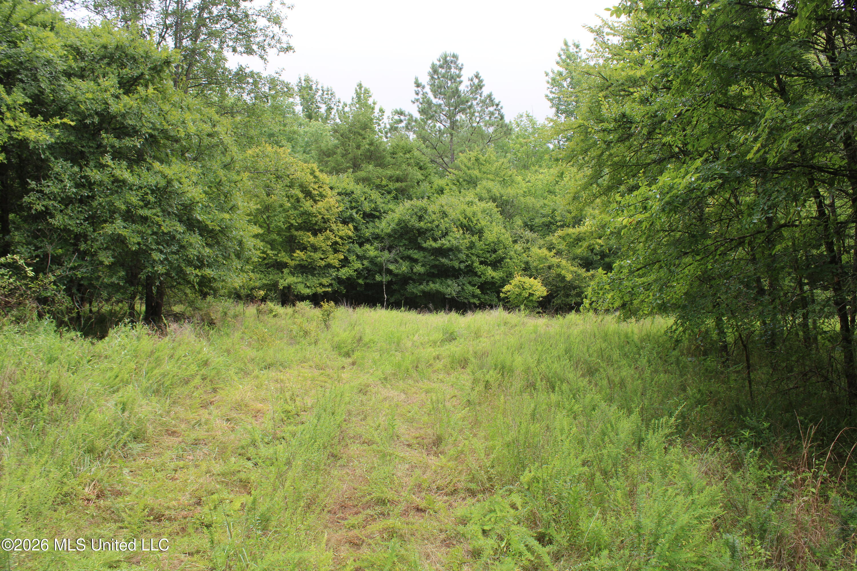 900 Cooper Road Byhalia, MS 38611 - Photo 13 of 28 IMG_7958