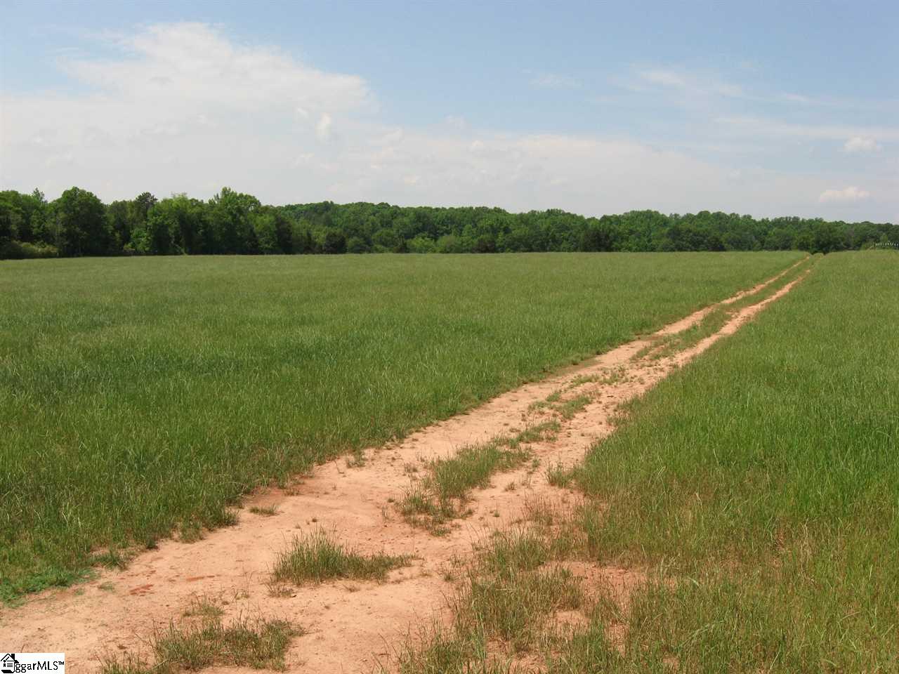 550 Reedy Fork Road Piedmont, SC 29673 - Photo 11 of 11 Gallery Image 11