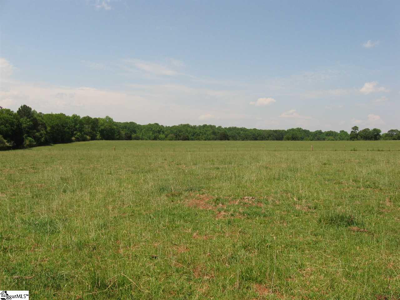 550 Reedy Fork Road Piedmont, SC 29673 - Photo 10 of 11 Gallery Image 10