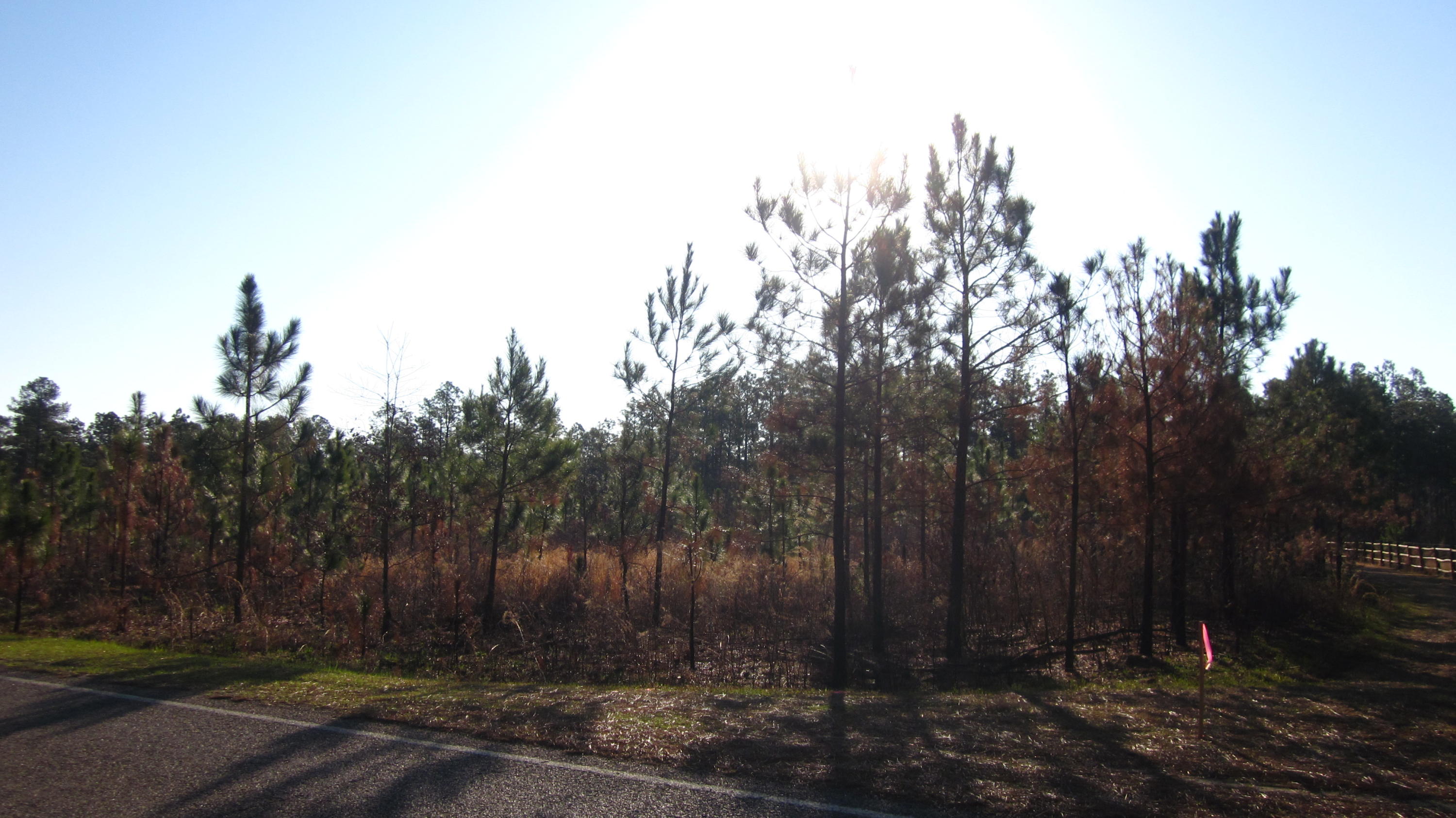 875 Furr Road Vass, NC 28394 - Photo 5 of 11 IMG_5225