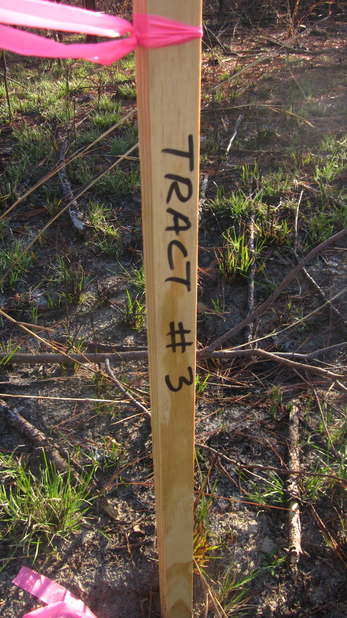 875 Furr Road Vass, NC 28394 - Photo 7 of 11 IMG_5222