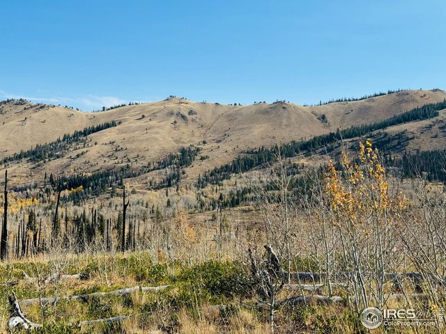 $987,000 | 0 Parsons Draw Road, Cowdrey, CO 80434
