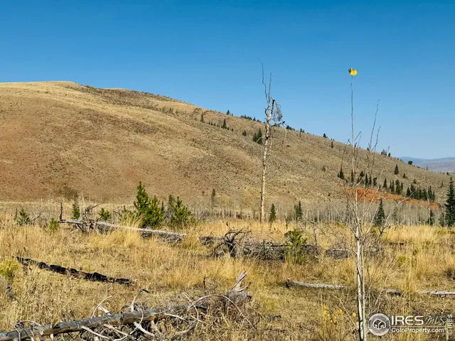 $987,000 | 0 Parsons Draw Road, Cowdrey, CO 80434