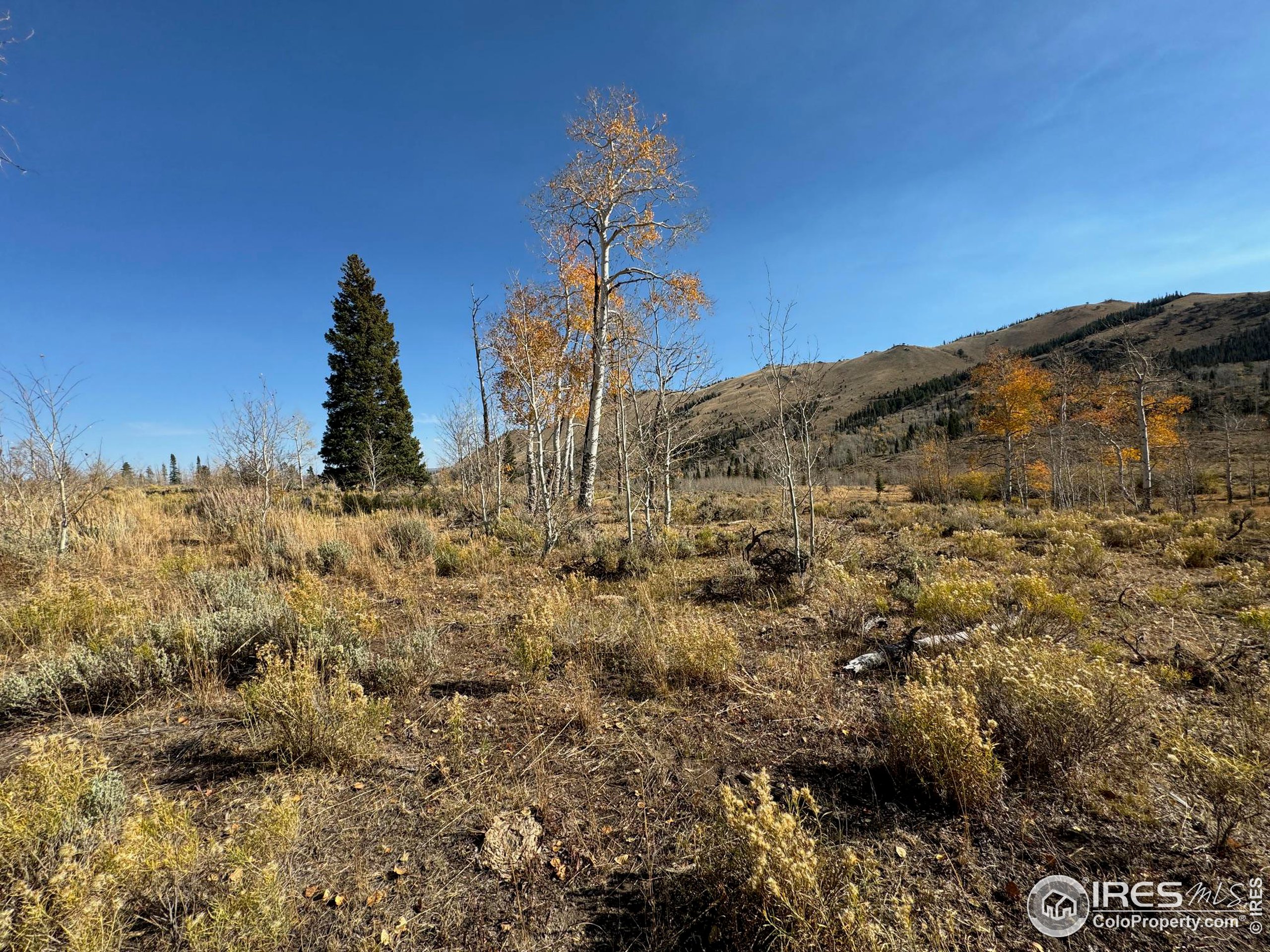 0 Parsons Draw Road Cowdrey, CO 80434 - Photo 22 of 40