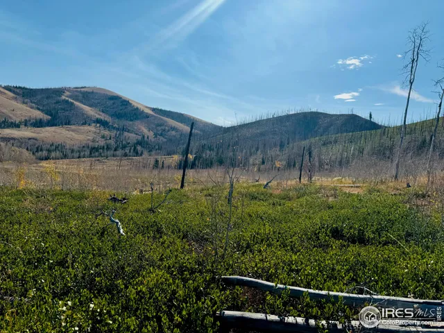 $987,000 | 0 Parsons Draw Road, Cowdrey, CO 80434