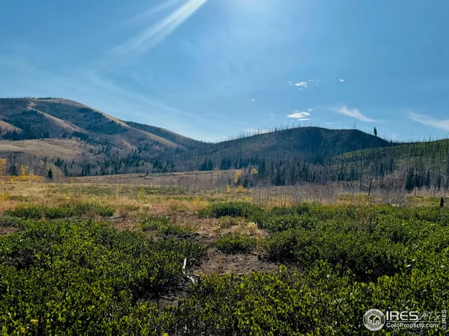 $987,000 | 0 Parsons Draw Road, Cowdrey, CO 80434