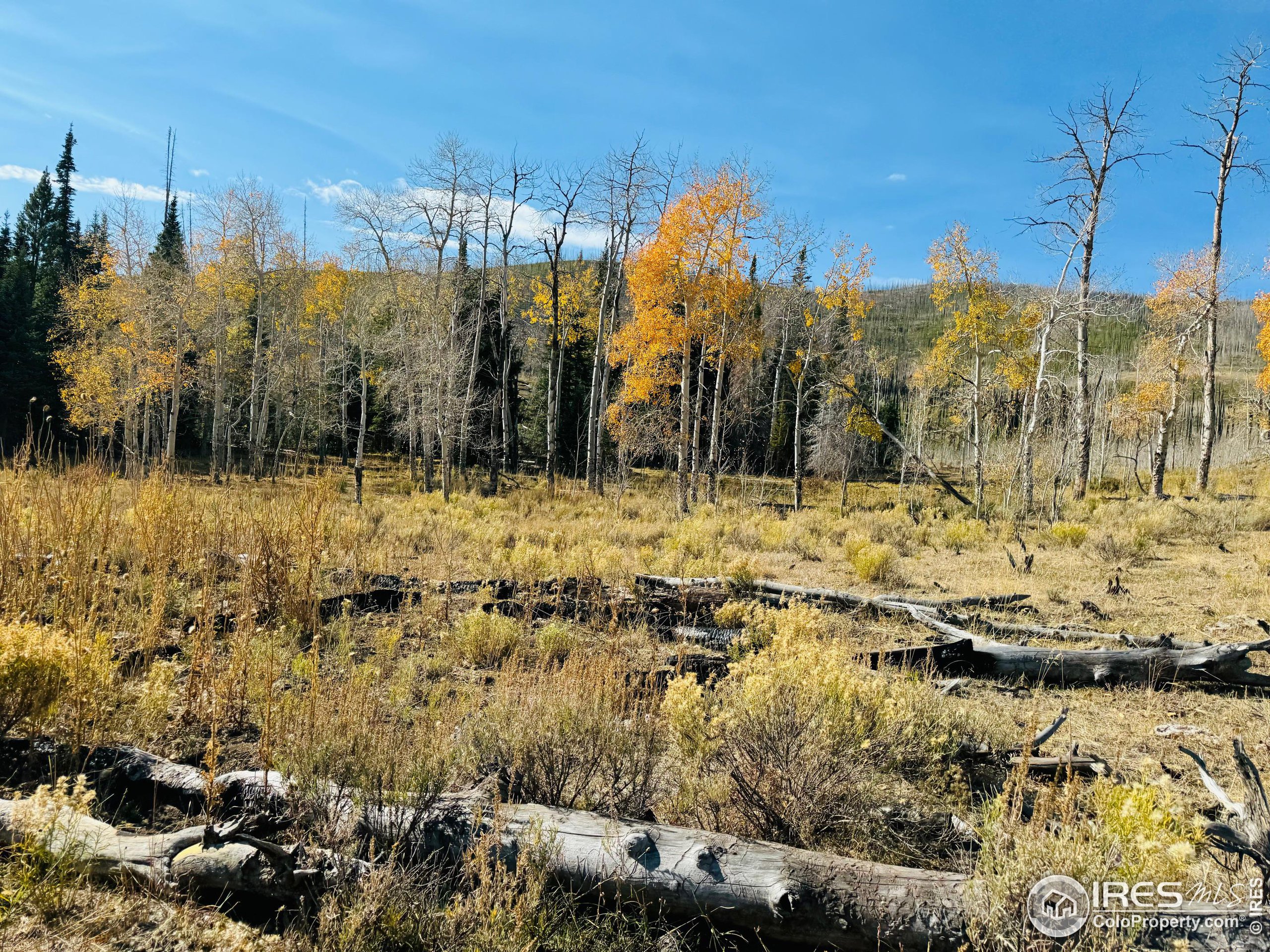 0 Parsons Draw Road Cowdrey, CO 80434 - Photo 25 of 40